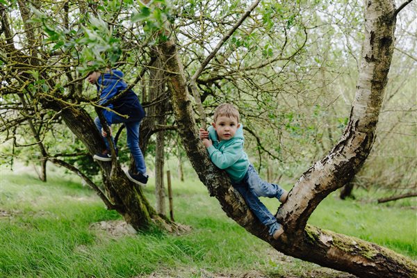 Two boys climbing trees in The Night Garden